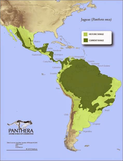 jaguar geographic range map.